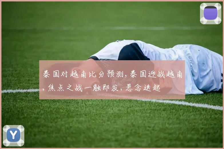 泰国对越南比分预测,泰国迎战越南,焦点之战一触即发,悬念迭起