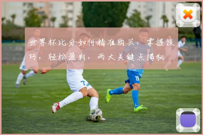 世界杯比分如何精准购买，掌握技巧，轻松盈利，两大关键点揭秘