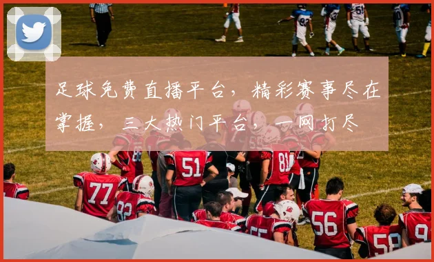 足球免费直播平台，精彩赛事尽在掌握，三大热门平台，一网打尽